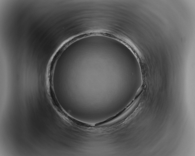 X0000087711124200705111416