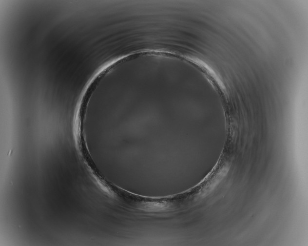 X0000087711125200705111416