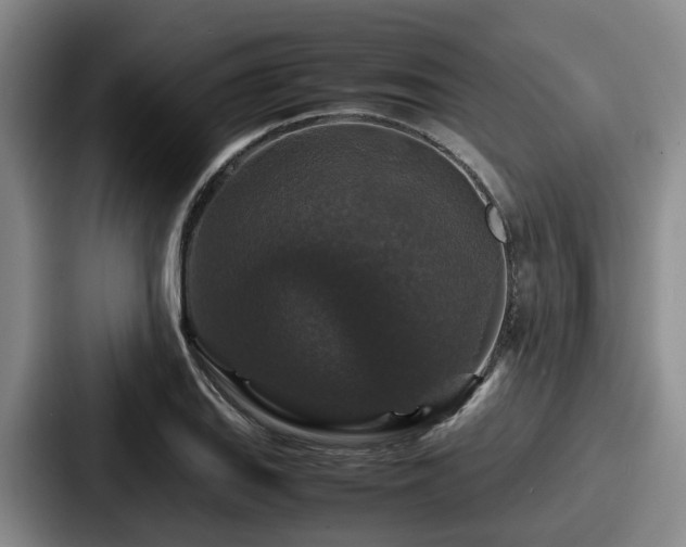 X0000087711127200705111416