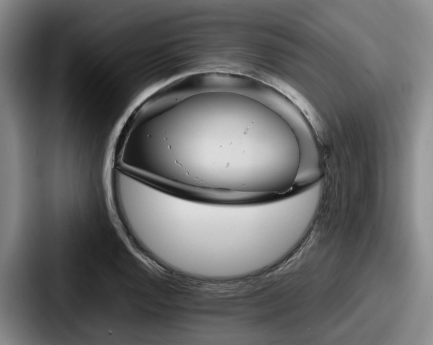 X0000087711128200705111416