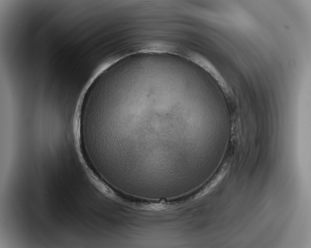 X0000087711130200705111416