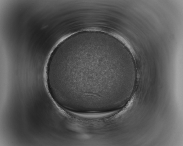 X0000087711133200705111416