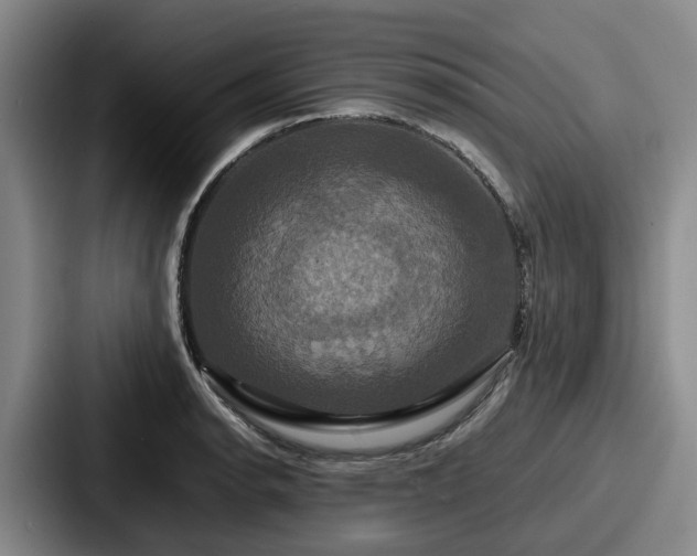 X0000087711134200705111416