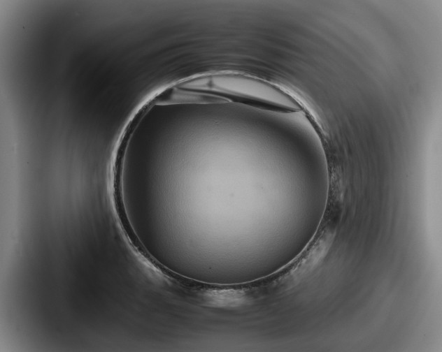 X0000087711135200705111416