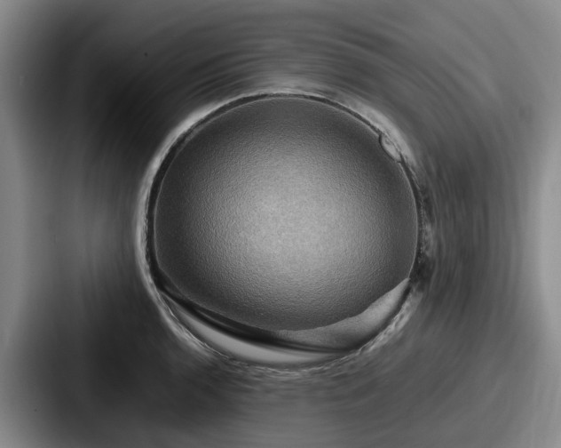 X0000087711136200705111416