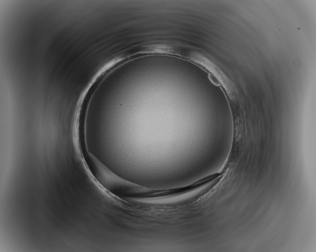 X0000087711139200705111416