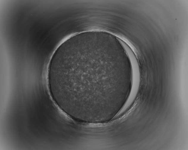X0000087711142200705111416