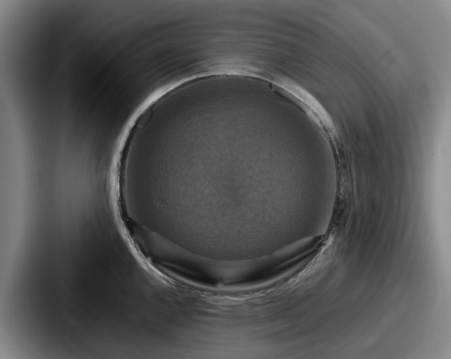 X0000087711144200705111416