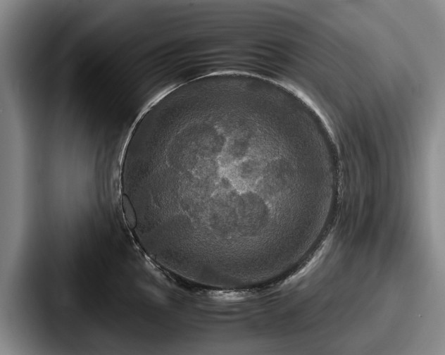 X0000087711145200705111416