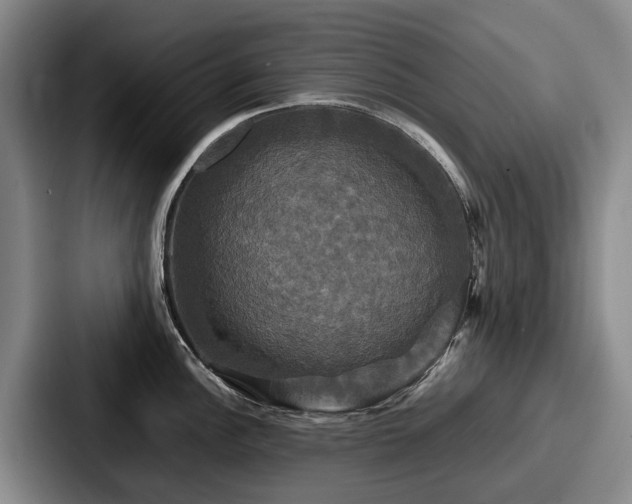 X0000087711148200705111416