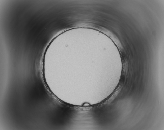 X0000087711150200705111416