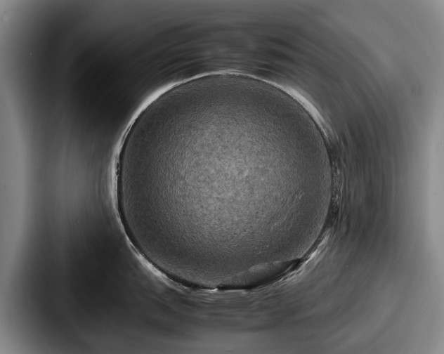 X0000087711151200705111416