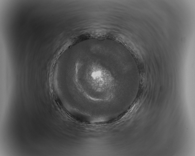 X0000087711153200705111416
