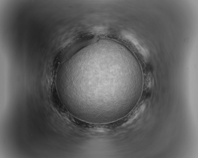 X0000087711157200705111416