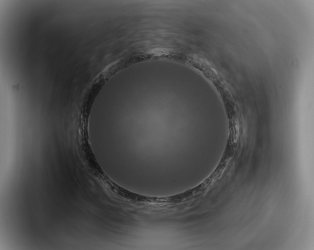 X0000087711158200705111416