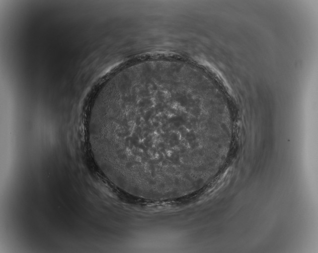 X0000087711159200705111416