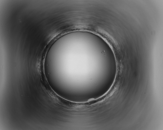 X0000087711162200705111416