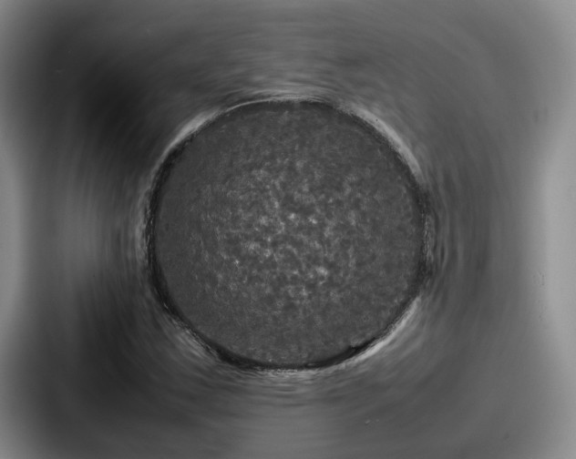 X0000087711163200705111416