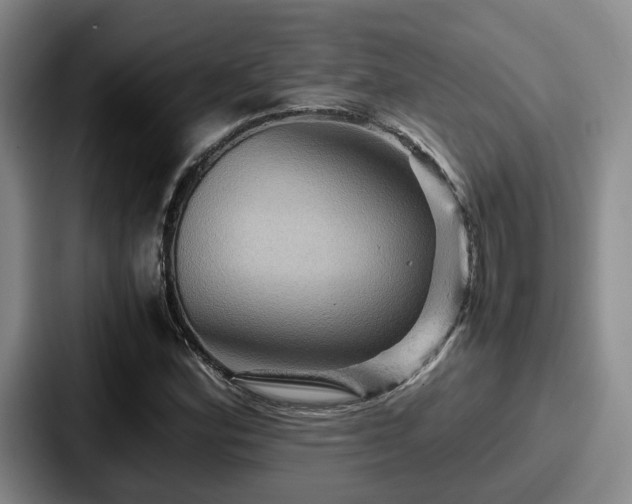 X0000087711164200705111416