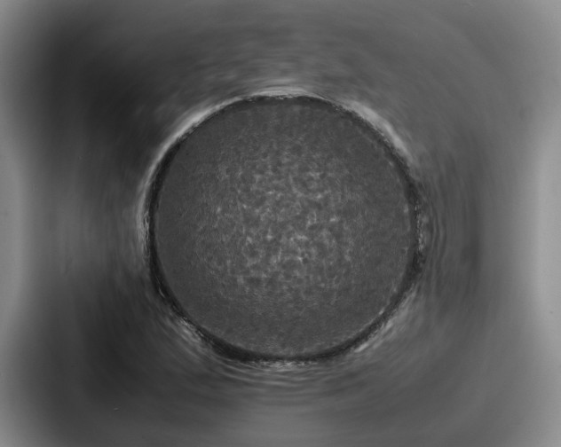X0000087711167200705111416