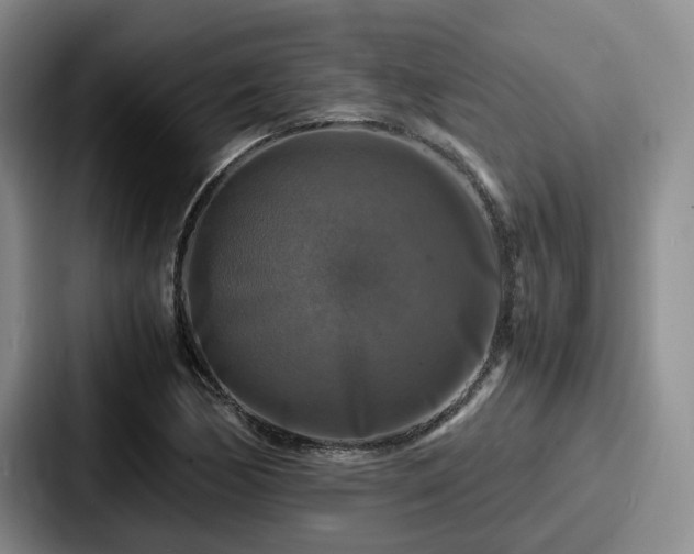 X0000087711170200705111416