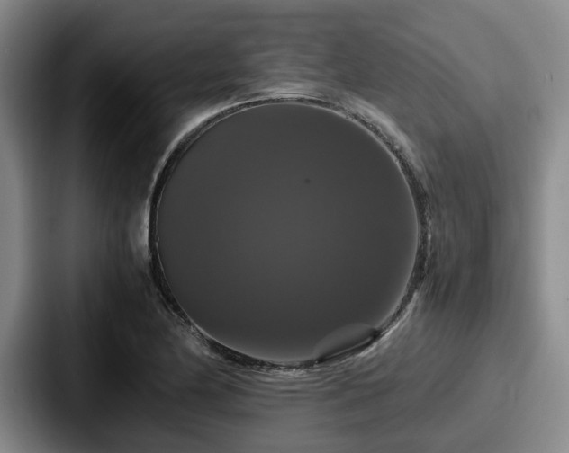 X0000087711174200705111416