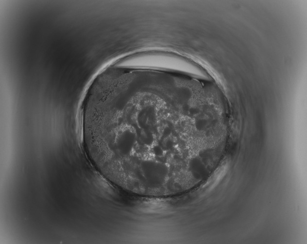 X0000087711175200705111416
