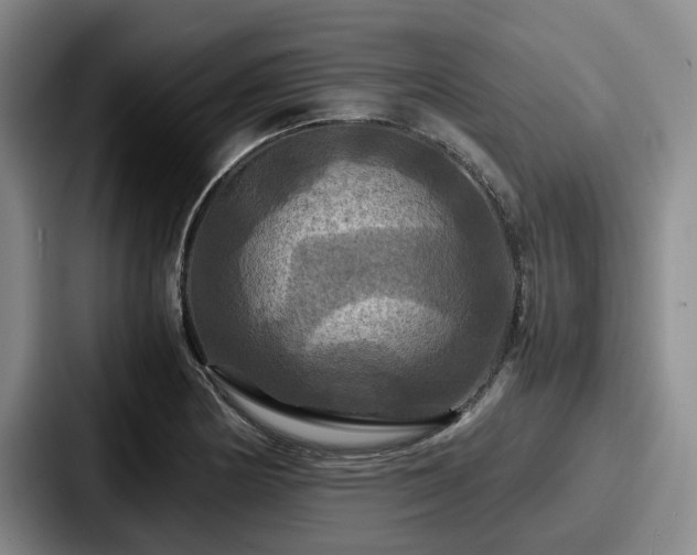 X0000087711178200705111416
