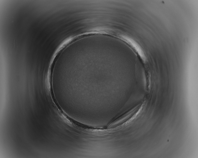 X0000087711180200705111416