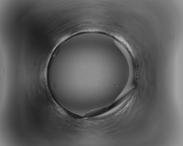 X0000087711181200705111416