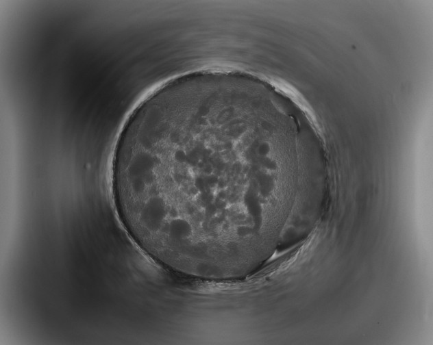 X0000087711183200705111416