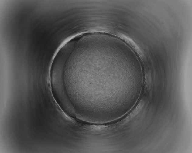 X0000087711184200705111416