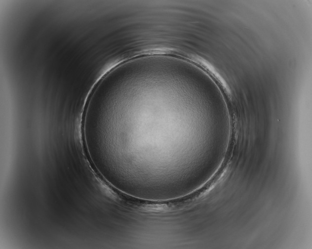 X0000087711186200705111415