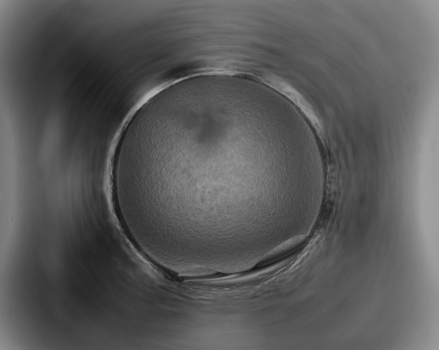 X0000087711187200705111415