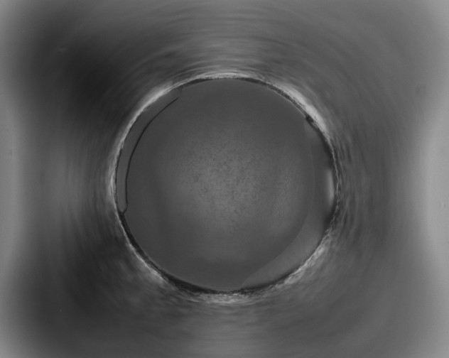 X0000087711189200705111415