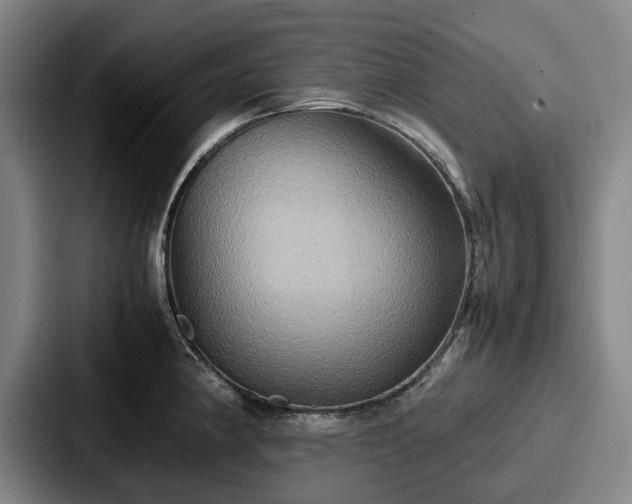 X0000087711190200705111415