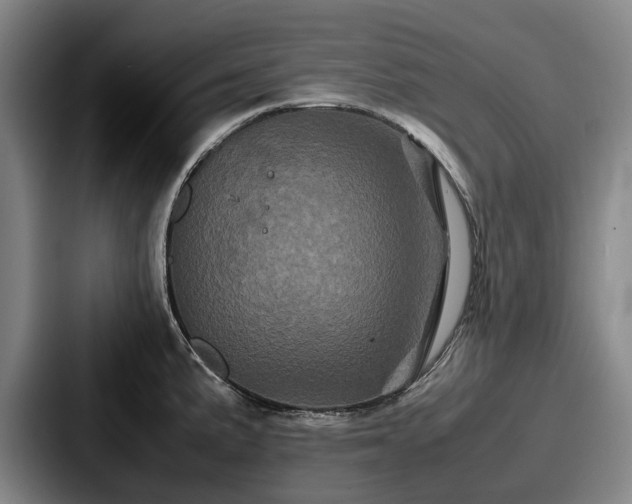 X0000087711191200705111415