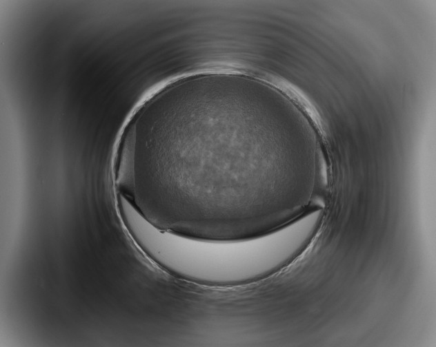 X0000087711192200705111415