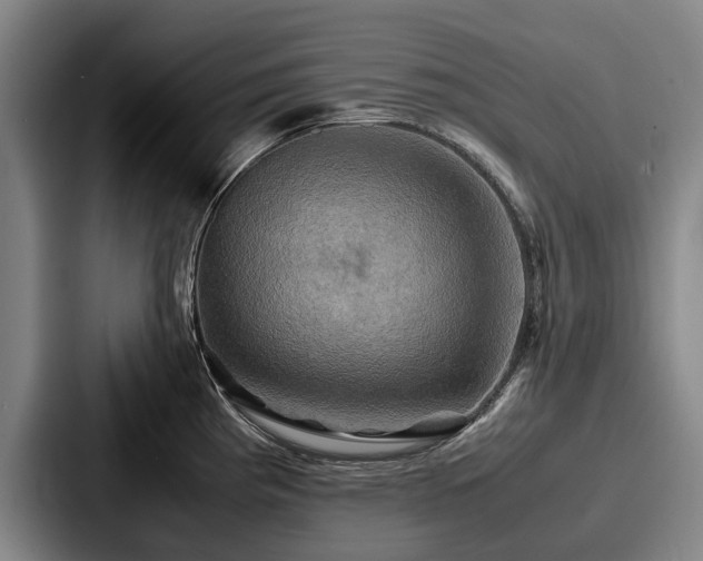 X0000087711193200705111415