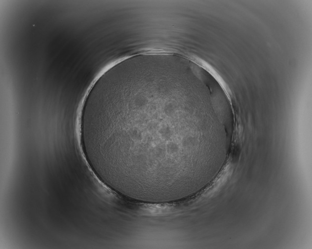 X0000087711195200705111415