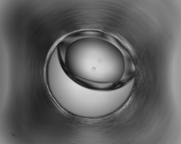 X0000087711196200705111415