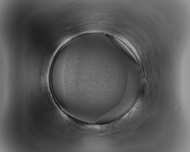 X0000087711197200705111415