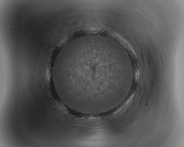 X0000087711204200705111415