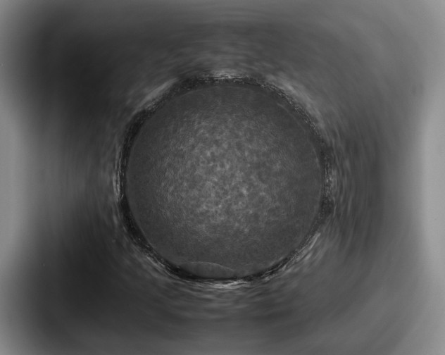 X0000087711205200705111415