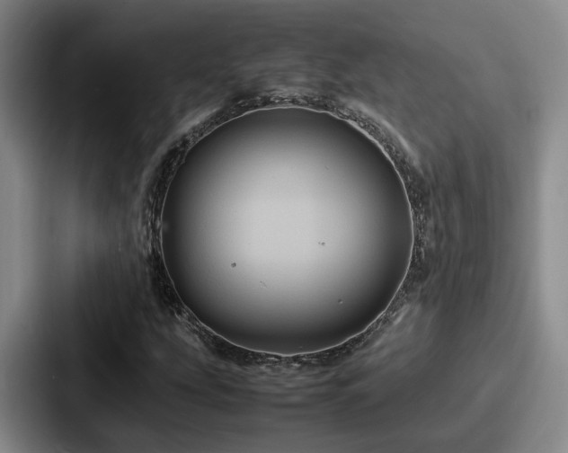 X0000087711207200705111415