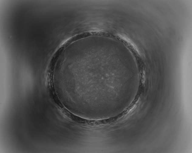 X0000087711208200705111415