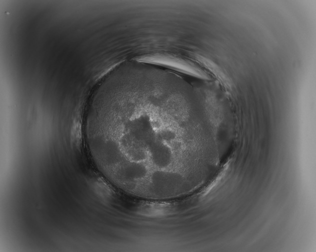 X0000087711209200705111415