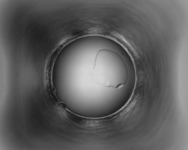 X0000087711211200705111415