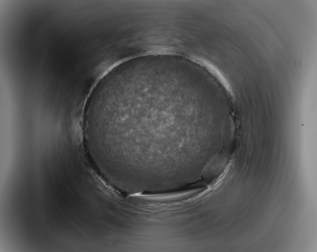 X0000087711212200705111415