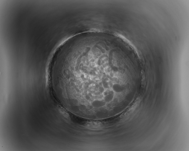 X0000087711215200705111415